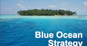 theBlueOceanStrategy
